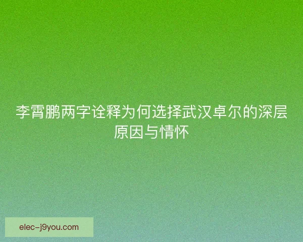 李霄鹏两字诠释为何选择武汉卓尔的深层原因与情怀
